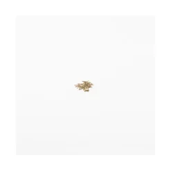 Accessoires maquette bateau : Clous laiton 7 mm - Amati