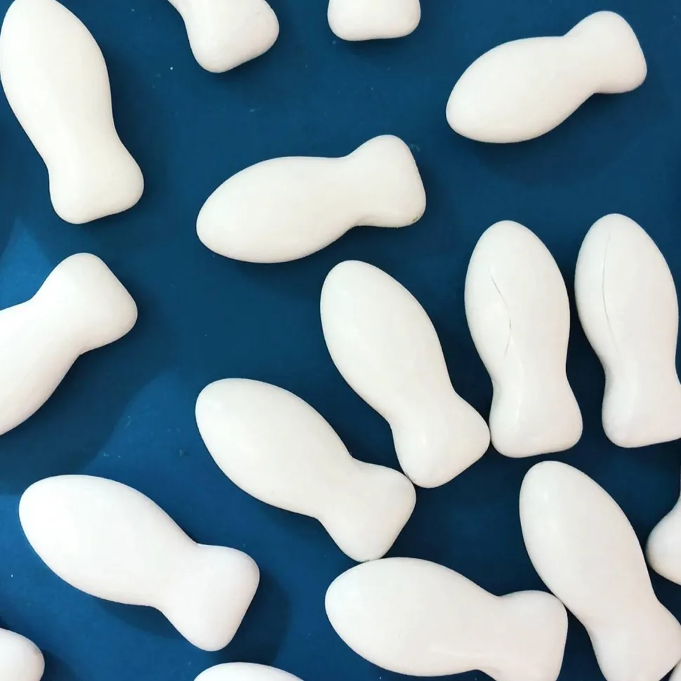 Boite 500g dragées POISSON au chocolat au lait 2,5cm Blanc brillant - RueDeLaFete