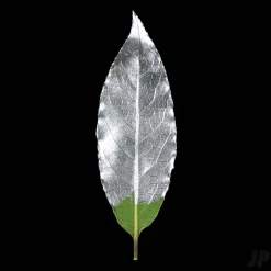 GILD Peinture acrylique émail à dorer argent (pot de 60ml) - Guild Materials