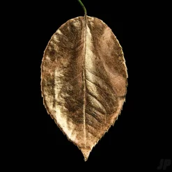 GILD Peinture acrylique émail à dorer Bronze (60ml ml) - Guild Materials