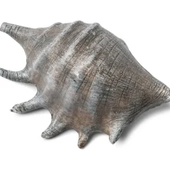 Grand coquillage gris 12 cm - RueDeLaFete