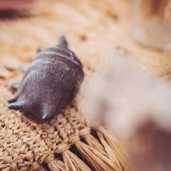 Grand coquillage gris 12 cm - RueDeLaFete