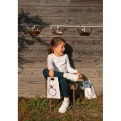 Grande Banderole Princesse 6 mètres - RueDeLaFete