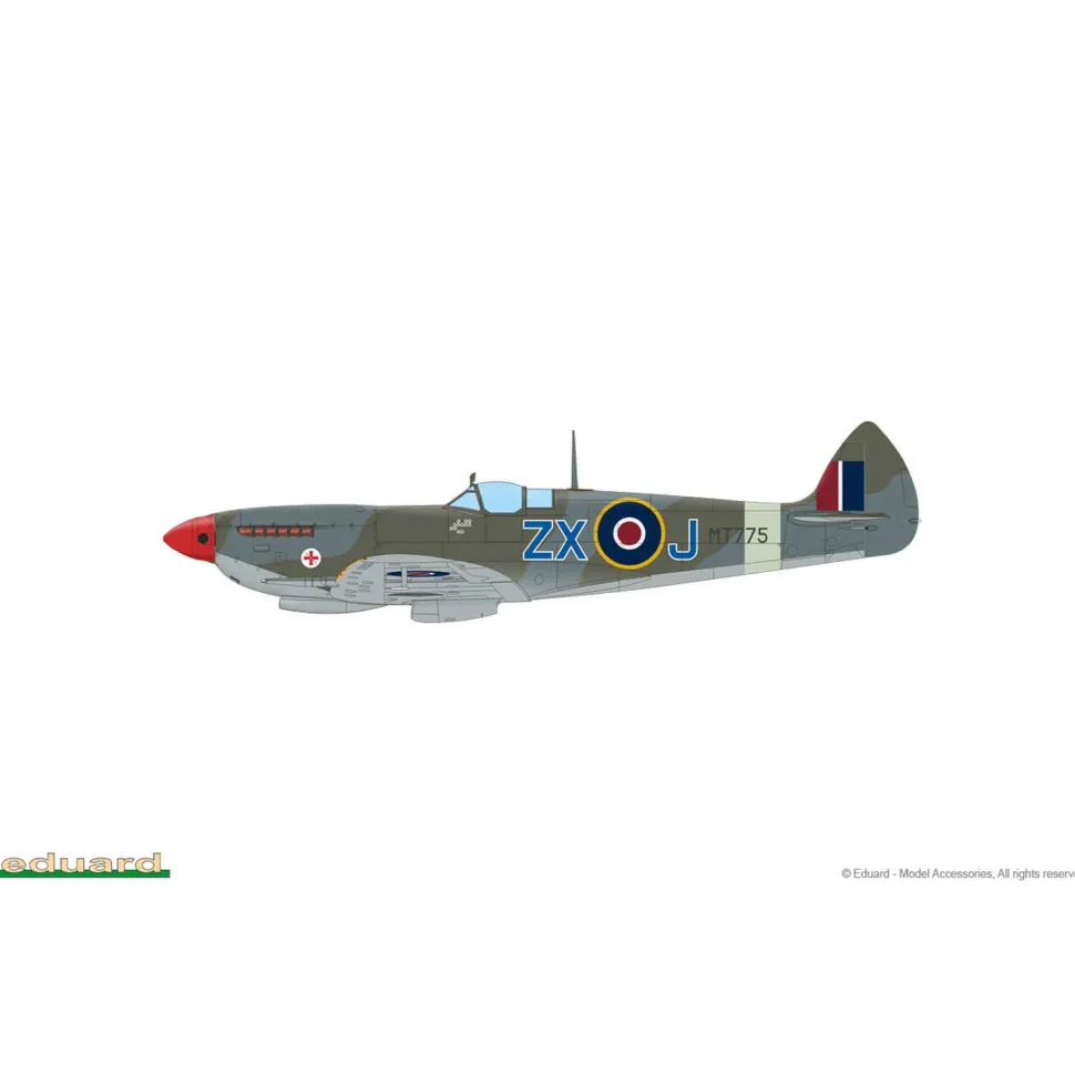 Maquette avion : Spitfire Mk.VIII - Eduard