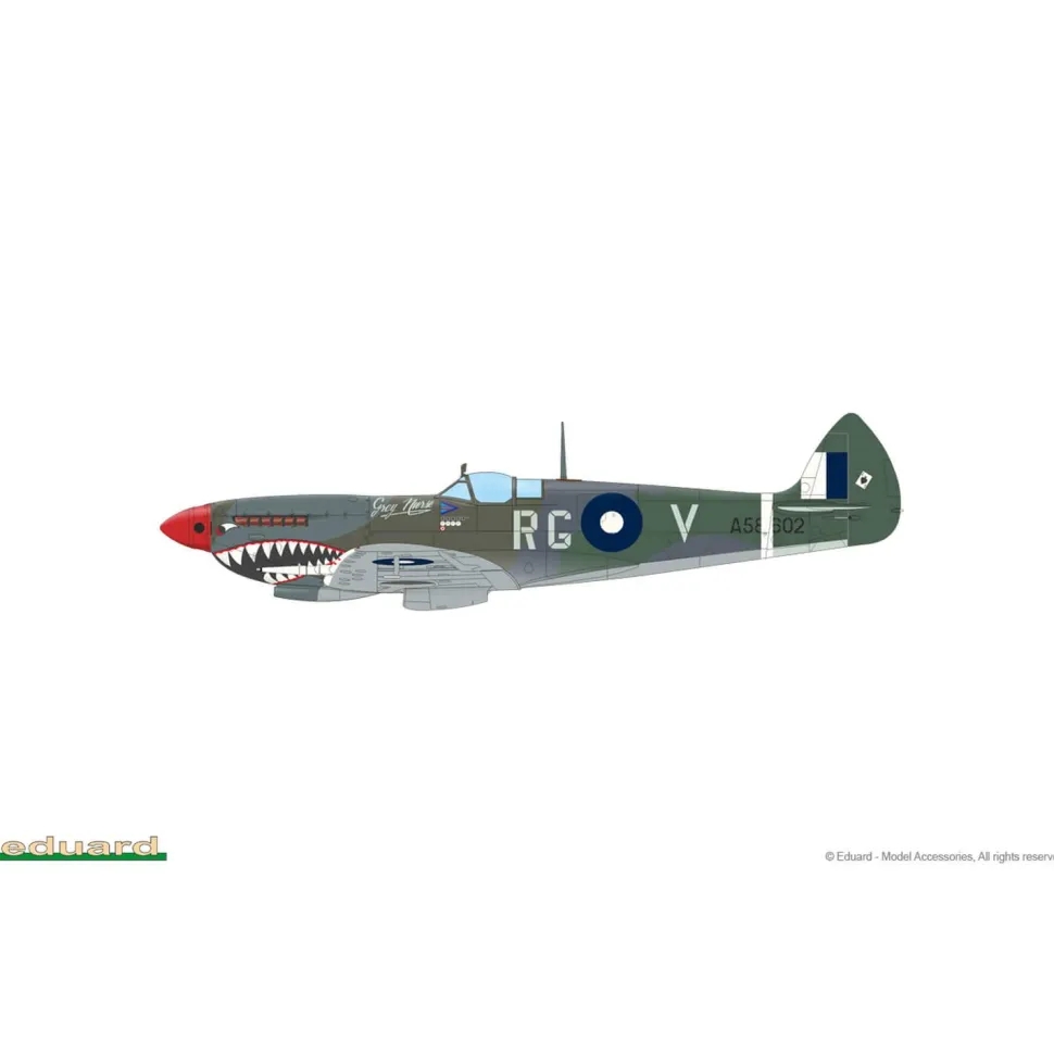 Maquette avion : Spitfire Mk.VIII - Eduard