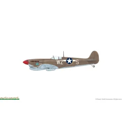 Maquette avion : Eagle´s Call, Edition limitée - Eduard