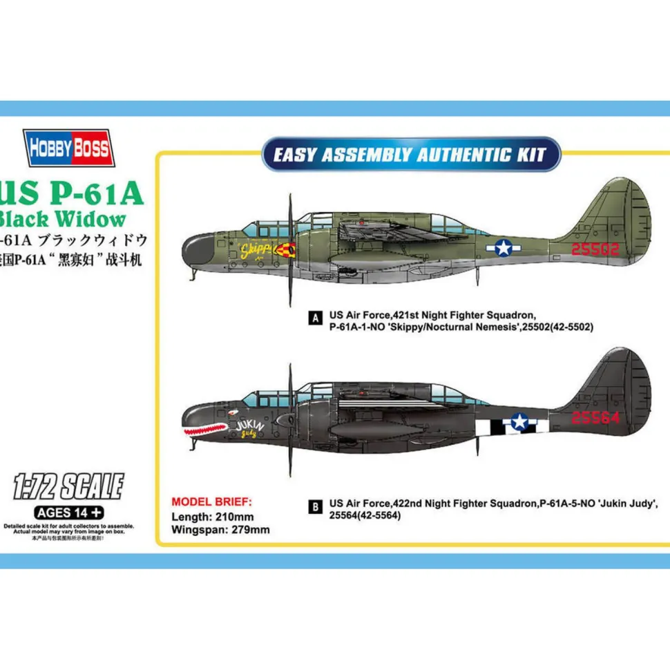 Maquette avion : US P-61A Black Widow - Hobby Boss