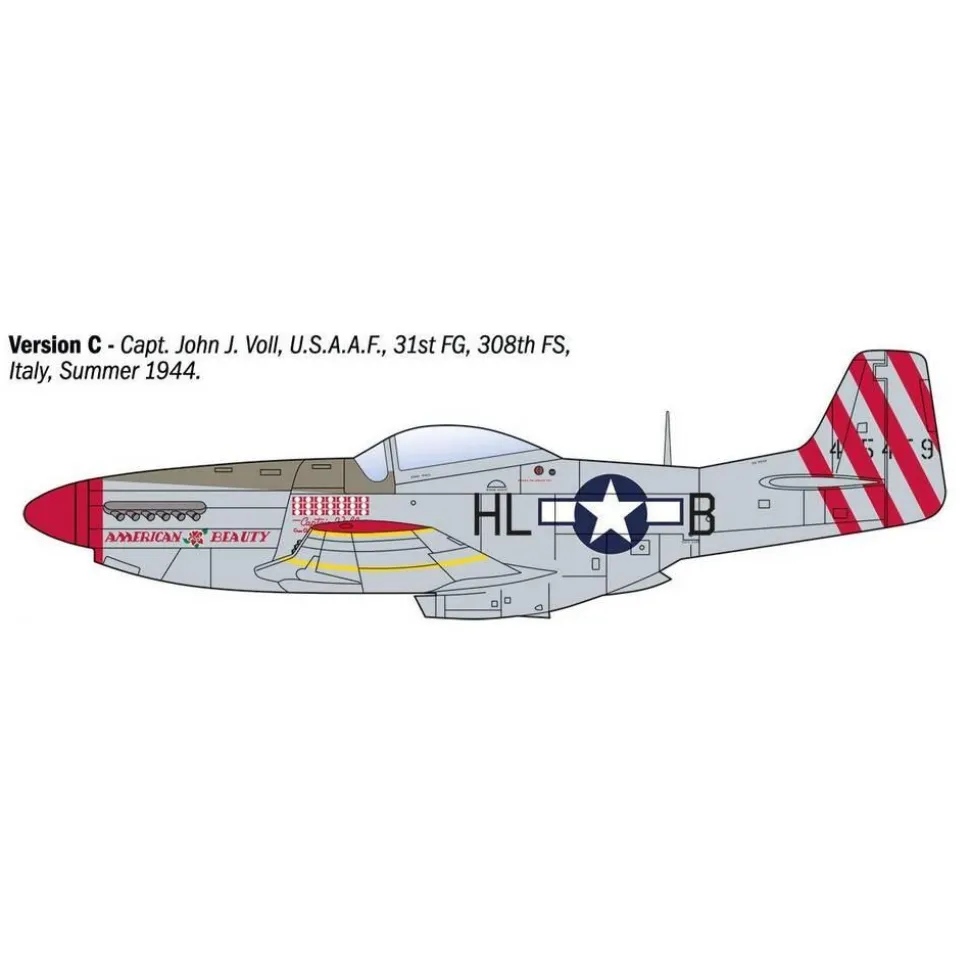 Maquette Avion P-51D Mustang Aces - Italeri