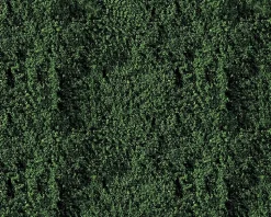 Modélisme : Matériel de flocage : Vert foncé - Faller