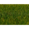 Modélisme : Végétation : Fibres de flocage premium, Herbe, vert foncé - Faller