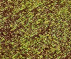 Modélisme : Végétation : Segments de paysage Premium : Champ - Faller