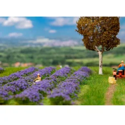 Modélisme HO : Champ de lavande - Faller