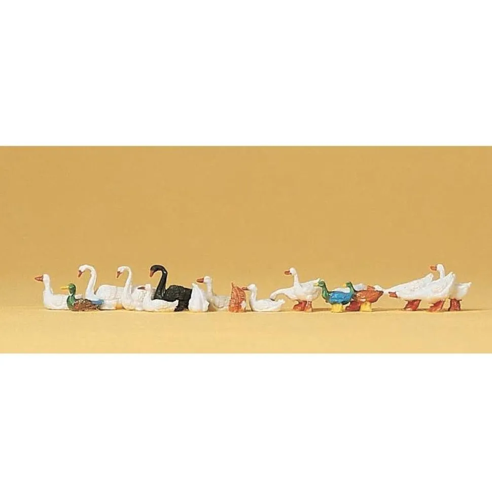 Modélisme HO Figurines : Canards, oies, cygnes - Preiser