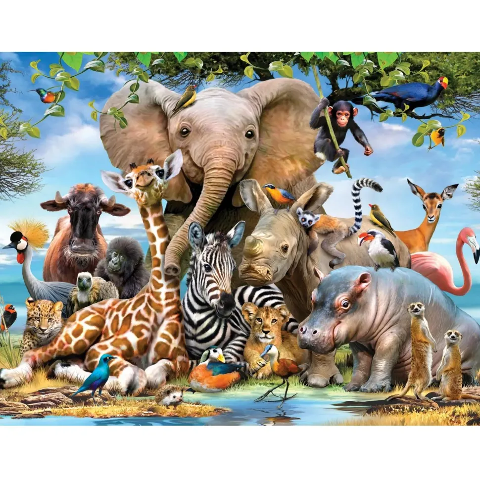 Puzzle 1000 pièces : Africa Smile - Anatolian