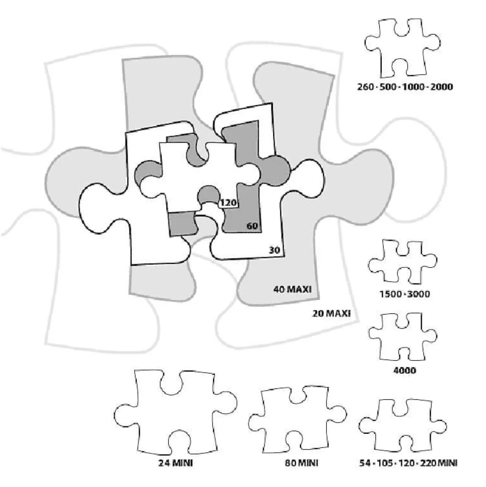 Puzzle 1500 pièces : Bain d'animaux fou - Castorland
