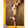 Puzzle 1000 pièces : Bisou d'une mère girafe - Eurographics