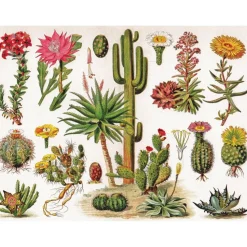 Puzzle 1000 pièces : cactus - New York Puzzle Company