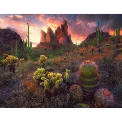 Puzzle 500 pièces : Cactus et épines - Ravensburger