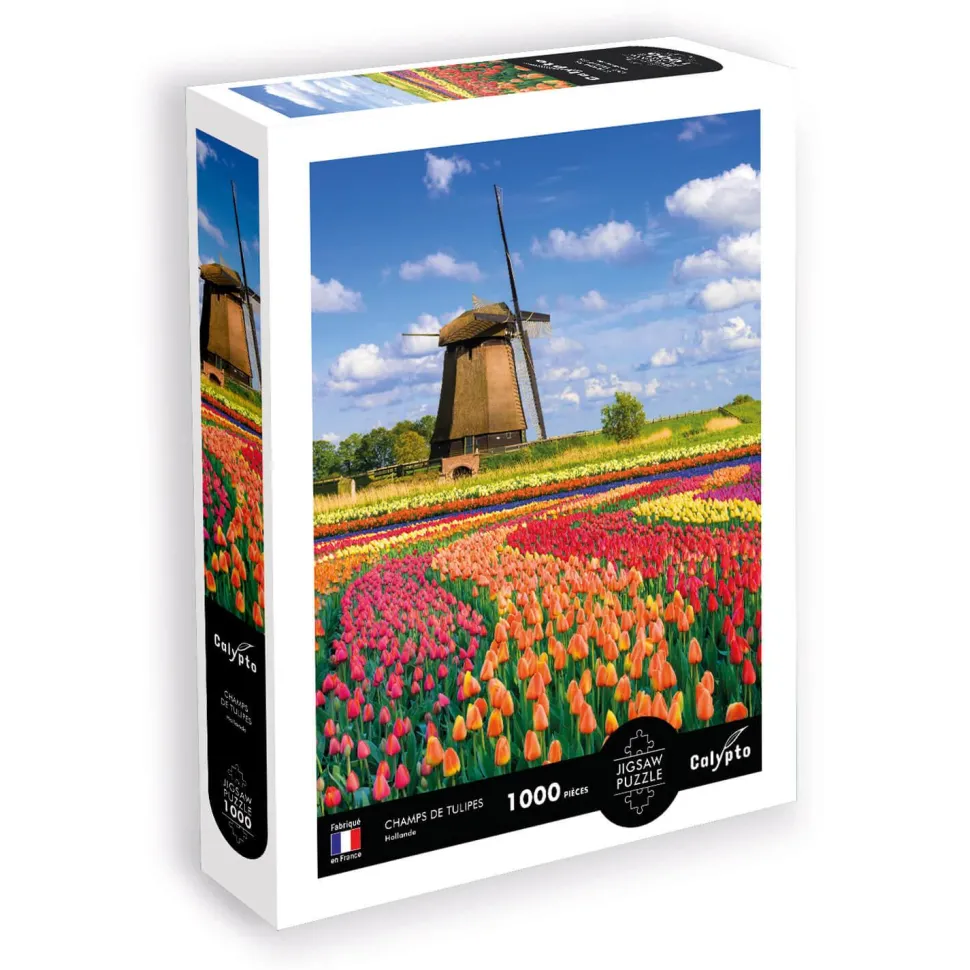 Puzzle 1000 pièces : Champs de tulipes, Hollande - Sentosphère