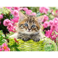 Puzzle 100 pièces : Chaton dans le jardin fleuri - Castorland