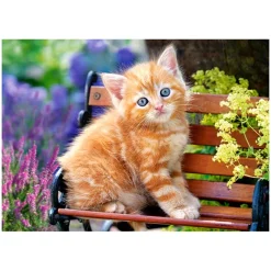 Puzzle 180 pièces : Chaton sur un banc - Castorland