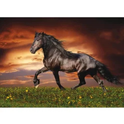 Puzzle 1000 pièces : Cheval Au Trot - Educa