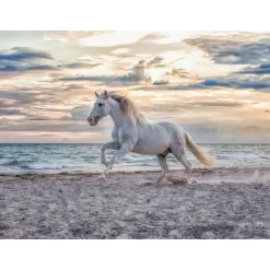 Puzzle 500 pièces : Cheval sur la plage - Ravensburger