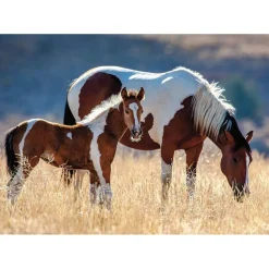 Puzzle 1500 pièces : Chevaux Dans La Forêt - Nathan