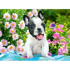 Puzzle 500 pièces : Chiot Bouledogue Français - Castorland