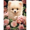 Puzzle 60 pièces : Chiot de Poméranie dans les roses - Castorland