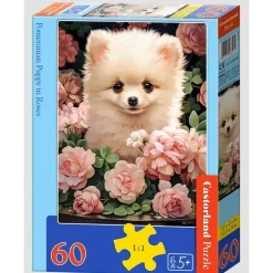 Puzzle 60 pièces : Chiot de Poméranie dans les roses - Castorland