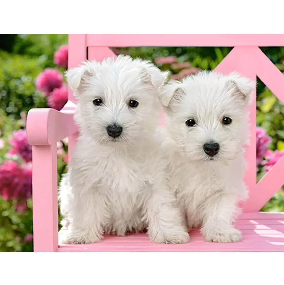 Puzzle 120 pièces : Chiots terrier blancs - Castorland