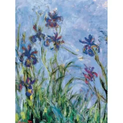 Puzzle 1000 pièces : Claud Monet Iris - Eurographics