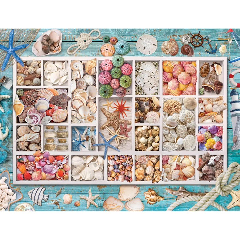 Puzzle 1000 pièces : Collection de coquillages - Eurographics