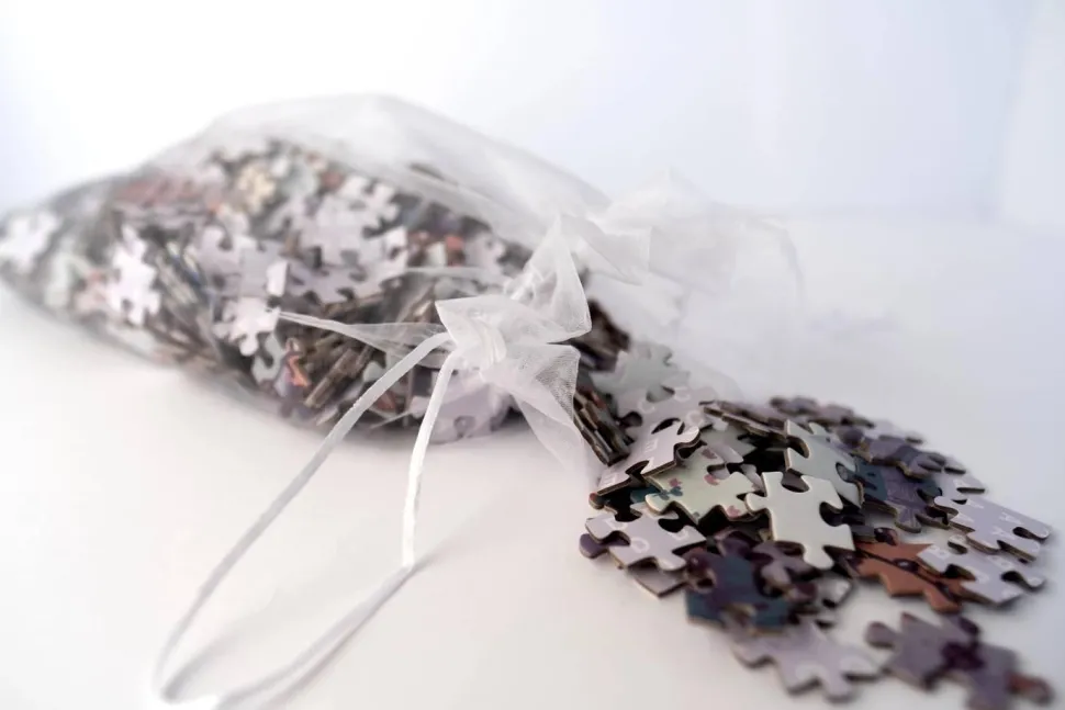 Puzzle 1000 pièces : confort cocon - Elewhite