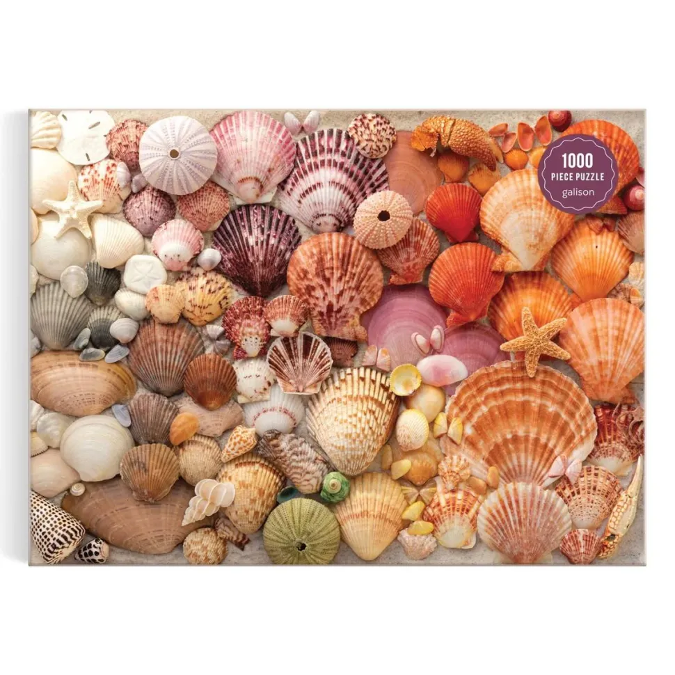 Puzzle 1000 pièces : Coquillages sous le soleil - Galison
