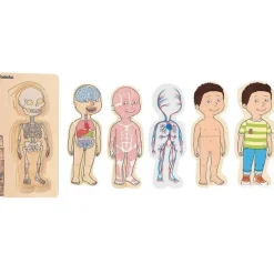 Puzzle 29 pièces : Corps humain "Garçon" - Hape