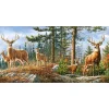 Puzzle 4000 pièces : Famille Cerf Royal - Castorland