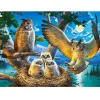 Puzzle 180 pièces : Famille de chouettes - Castorland