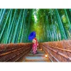 Puzzle 1000 Pièces : Femme asiatique dans une forêt de bambous - EnjoyPuzzle