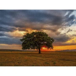 Puzzle 1000 Pièces : Feuilles Eclipse - EnjoyPuzzle