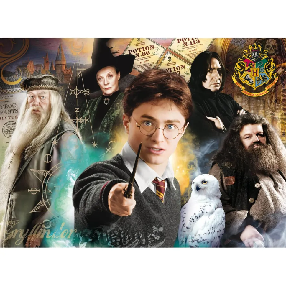 Puzzle 500 pièces : Harry Potter - Clementoni