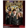 Puzzle 1000 pièces : Harry Potter Collage - Aquarius