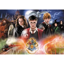 Puzzle 300 pièces : Harry Potter : Le Secret Harry Potter - Trefl