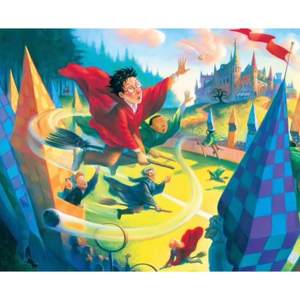 Puzzle 1000 pièces : Harry Potter : Quidditch - New York Puzzle Company