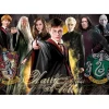 Puzzle 1000 pièces : Harry Potter - Educa