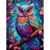 Puzzle 1000 Pièces : Hibou éblouissant - EnjoyPuzzle