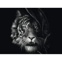 Puzzle 1000 pièces : Indompté – le tigre : sous le signe de la liberté - Ashley Rader - Schmidt