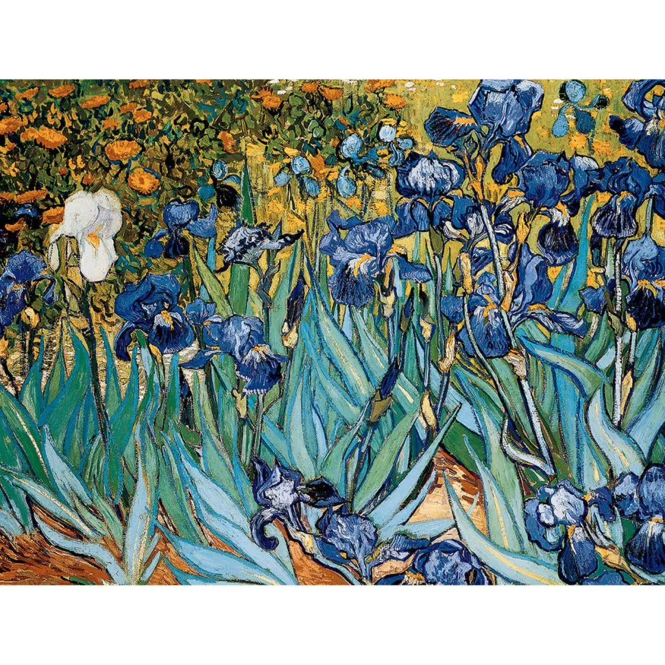 Puzzle 1000 pièces : Iris, Van Gogh - Eurographics