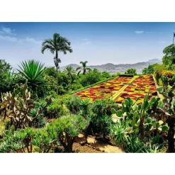 Puzzle 1000 pièces - Jardin botanique, Madère - Ravensburger